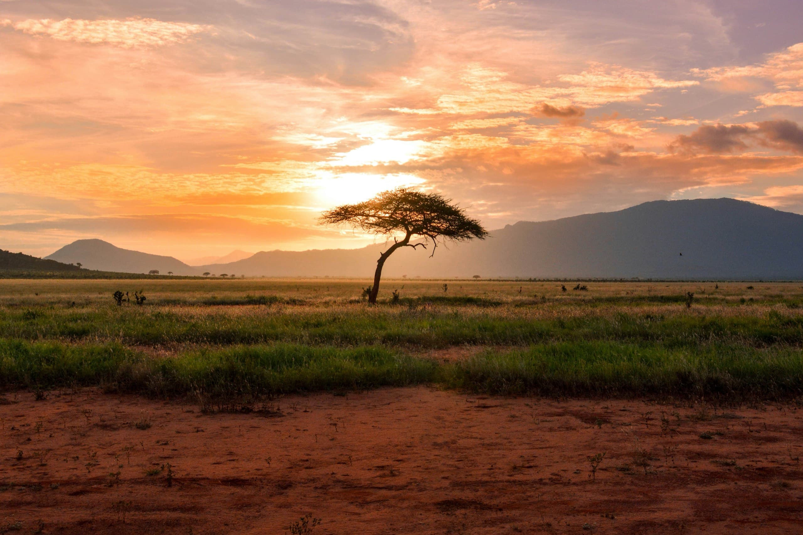 Safari-Landschaft in Ostafrika